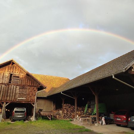 Chez Marguerite Gîtes à la ferme Horbourg-Wihr Extérieur photo