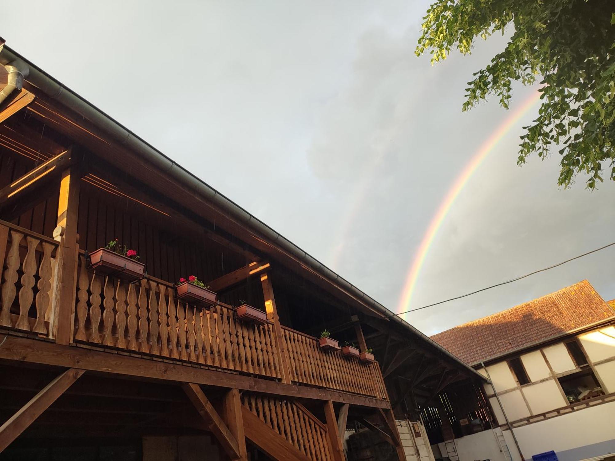 Chez Marguerite Gîtes à la ferme Horbourg-Wihr Extérieur photo