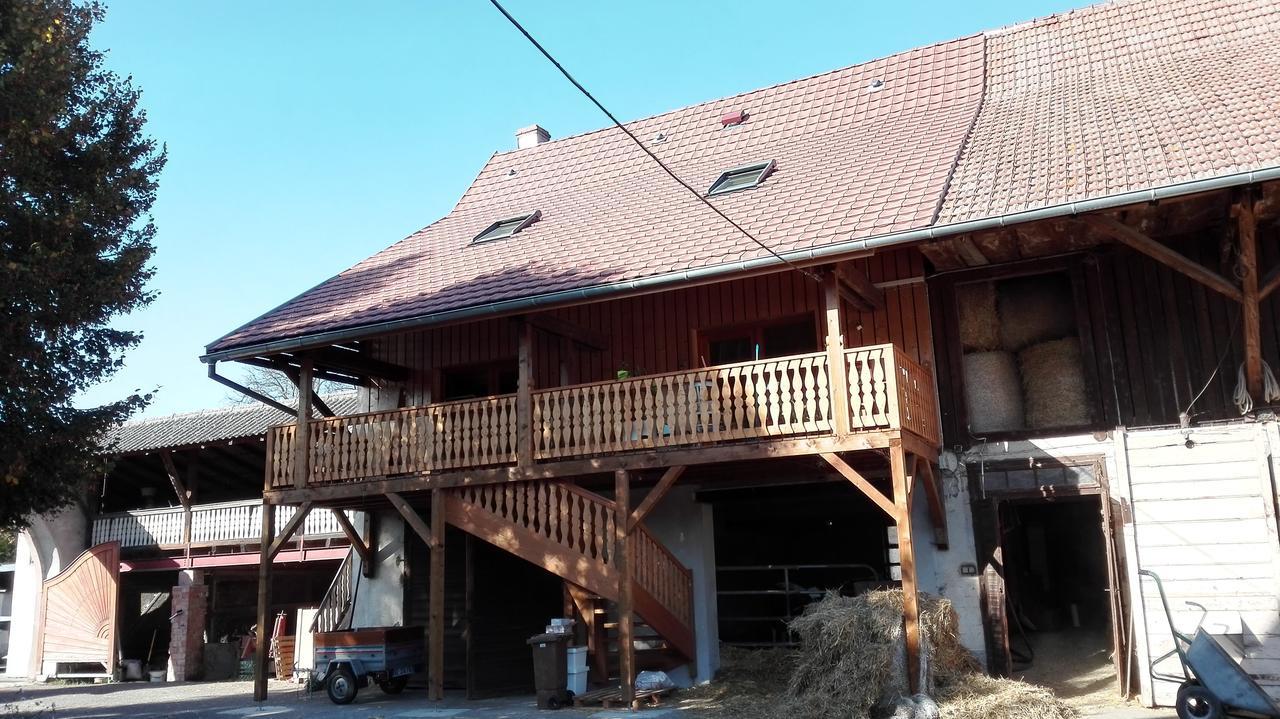 Chez Marguerite Gîtes à la ferme Horbourg-Wihr Extérieur photo